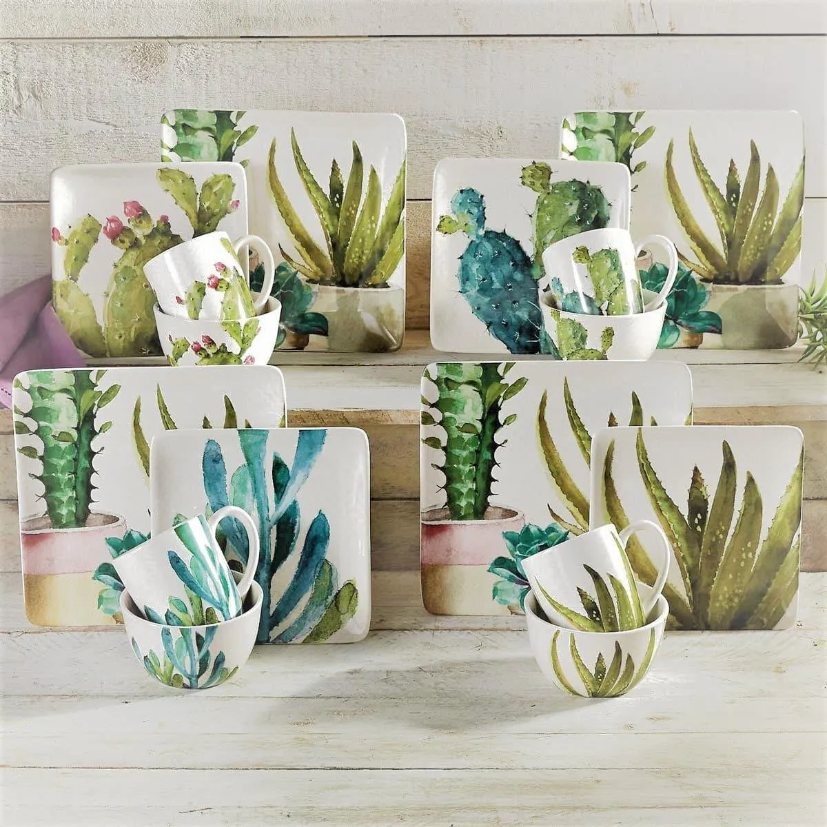 Cactus and Succulent Design Bowls