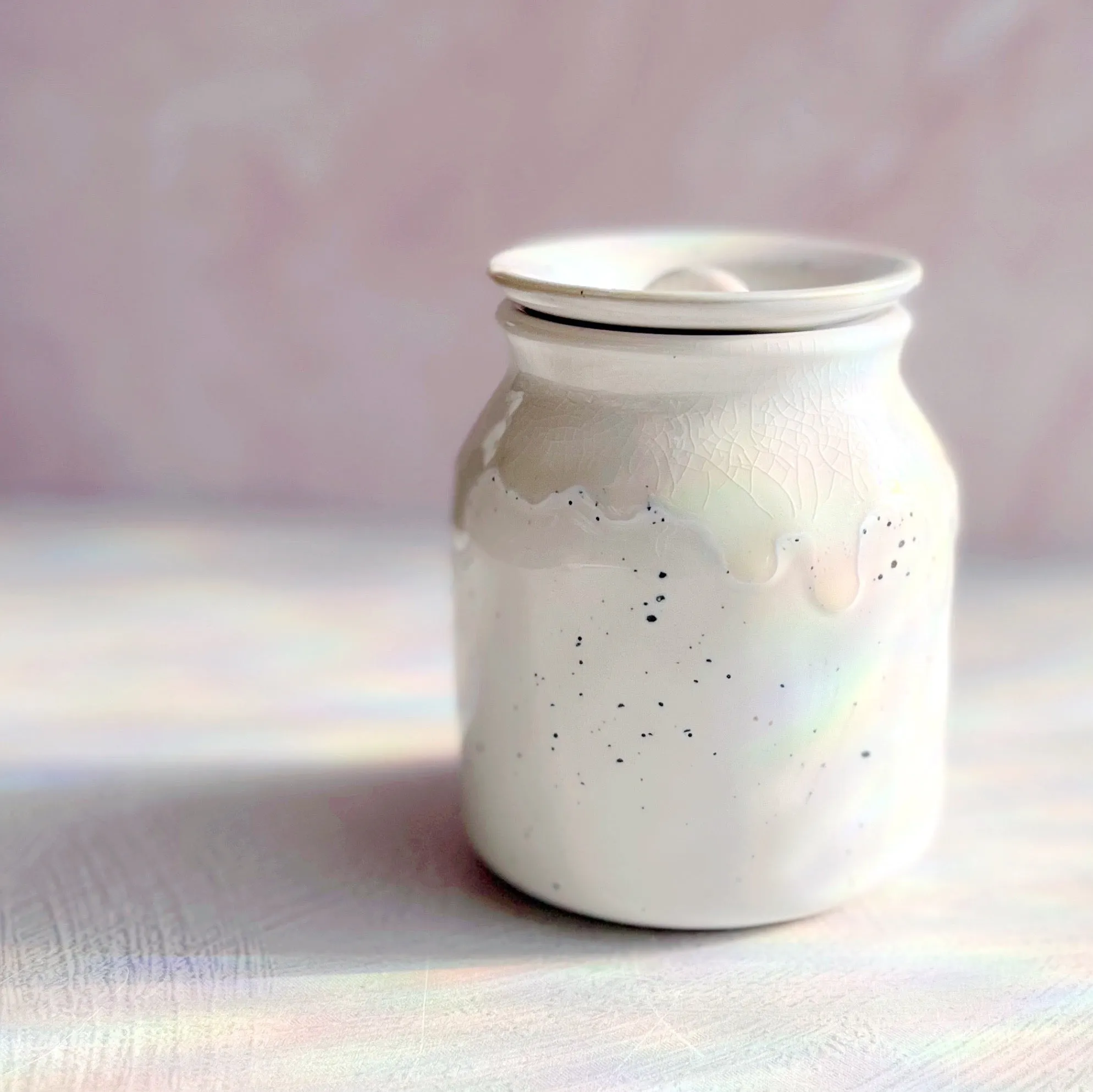 Ceramic Canister with Lid by Danica Designs