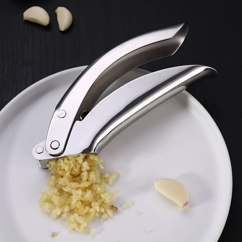 Garlic Press with Stainless Steel