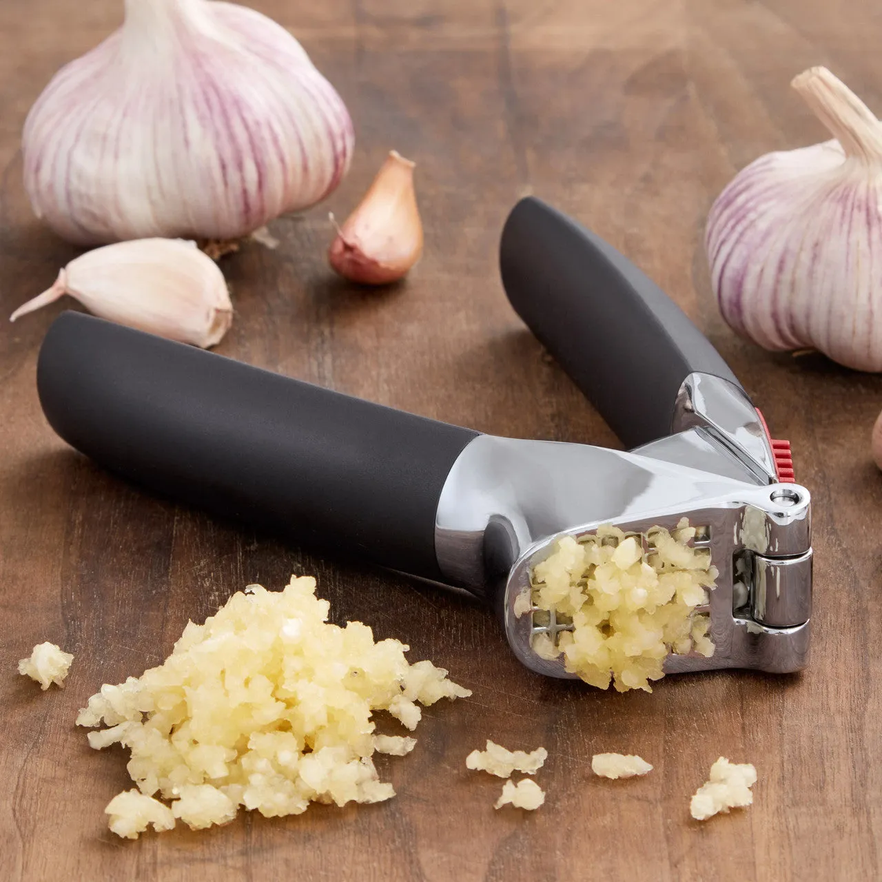 Oxo Good Grips Garlic Press