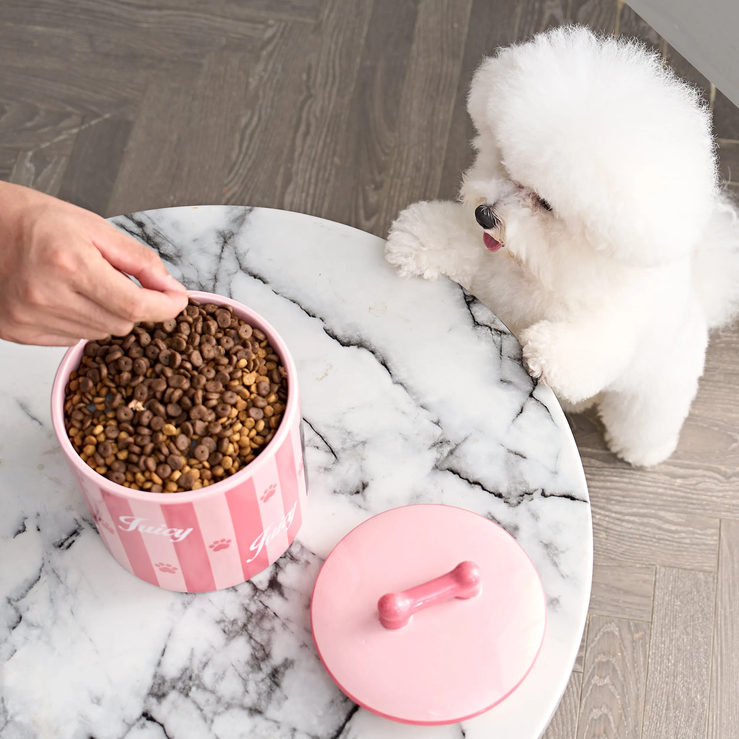 Pet Treat Container